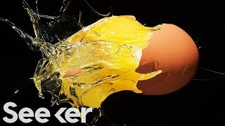Does It Matter Which Color Egg You Buy? (Why Are They Different?) Does It Matter Which Color Egg You Buy? (Why Are They Different?)
