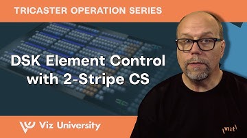 DSK Element Control with 2-Stripe CS