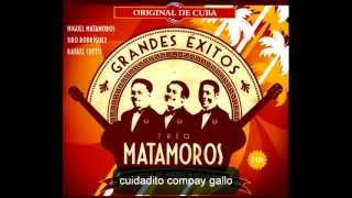 cuidadito compay gallo - trio matamoros chords