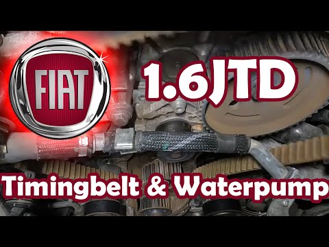Fiat 1.6 D Multijet Timing belt replacement 55283775 55280444
