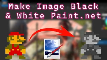 Paint.net: How To Make a Black And White Image in Paint.net