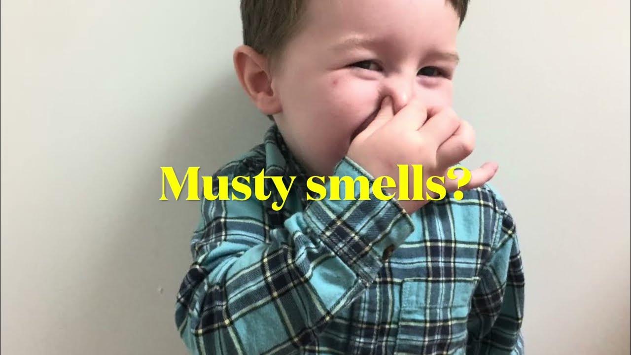 Musty Smells We Can Help YouTube musty-smells-we-can-help-youtube