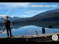 Proof This Mountain Lake Has FISH!! (Washington Fishing)