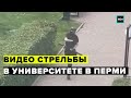 Видео стрельбы в университете Перми есть погибшие - Москва 24