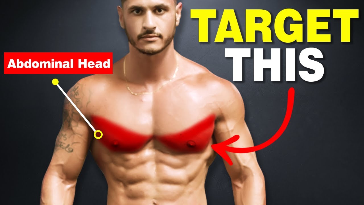 How to Get Bigger Pecs: Targeting the Three Divisions of the Chest –