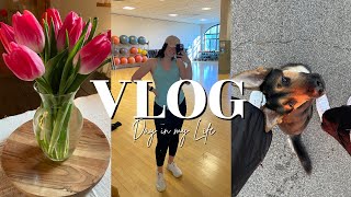 *REALISTIC* DAY IN THE LIFE WHILE PAYING OFF DEBT | DITL VLOG