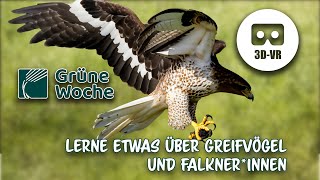 Grüne Woche Interview &quot;Falknerei in Deutschland&quot; - by VRwhatYOUwant VR180 3D