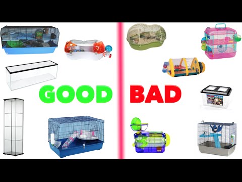 Good \u0026 Bad Hamster Cages (Mainly Europe 