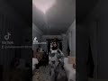 طالع في دماغي