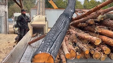Once-in-a-Lifetime Log Collapse Moment – Pure Wood Chips.