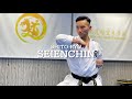 No82 shitoryu  seienchin  manbudokan karate academy
