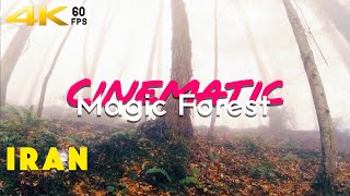 Cinematic 4k View Of A Magical Forest In Northern Iran by The Best Trip 23 views 5 months ago 2 minutes, 42 seconds