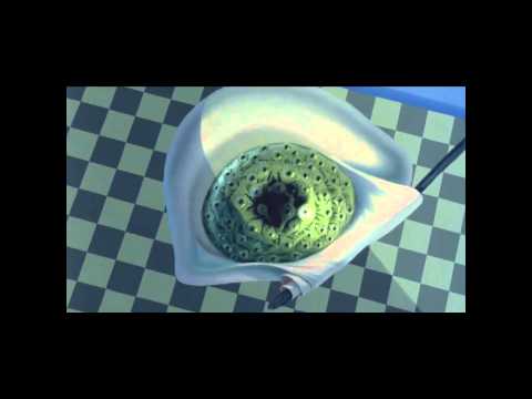 I See The Light - The Relatives