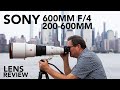 NEW Sony 600mm f/4 & 200-600mm Lenses | Image Comparison!