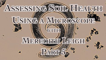 Assessing Soil Health Using a Microscope with Meredith Leigh Part 5