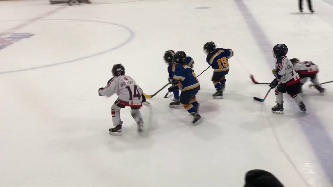 6 year old, Canadian hockey player scores goal from Toronto - YouTube