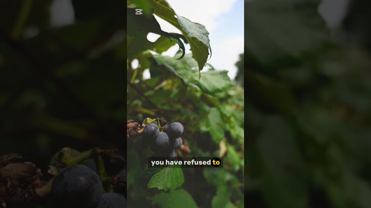 New Wine Life Matthew 9 17 Christianmotivation Travel God Jesus