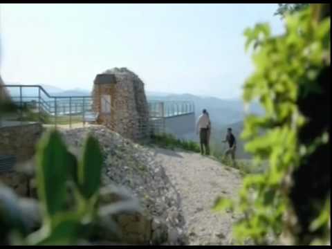 ერთი დღე ტრანსპორტის გარეშე