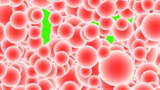 falling red realistic bubbles green screen free royalty footage