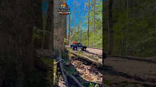 LC80 adventures🌞 #toyota #landcruiser #rccar #offroad #rctruck #trail #hiking #4x4 #truck #nature