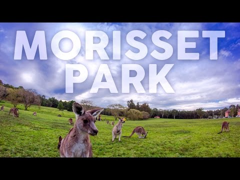 Fun Things to Do in Morisset | Travel Guide (2024) | Best Places to Visit