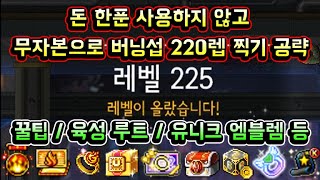 [메이플스토리 맑음] 하이퍼 버닝 돈 한푼 사용하지 않고 무자본으로 버닝서버 220레벨 찍기 완벽 공략! 꿀팁 / 육성루트 / 유니크 엠블렘 / 2023 겨울 버닝 스텝업 미션공략