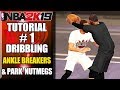 NBA 2K19 Ultimate Dribbling Tutorial - How To Do Ankle Breakers & Park Crossovers By ShakeDown2012