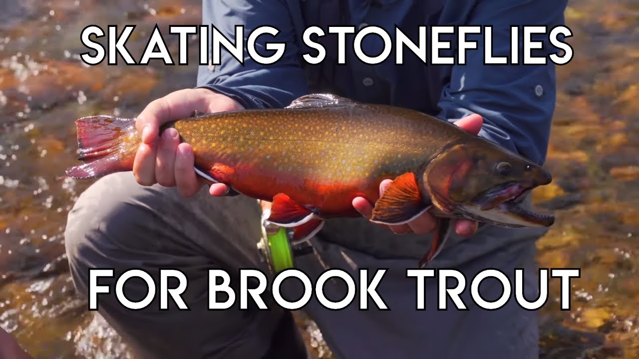 Skating Stone Flies for Brook Trout YouTube