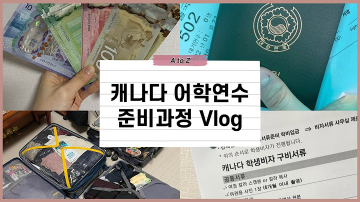 🇨🇦 캐나다 학생비자 어학연수 준비 Vlogㅣ비자준비부터 짐싸기까지 어학연수 준비과정