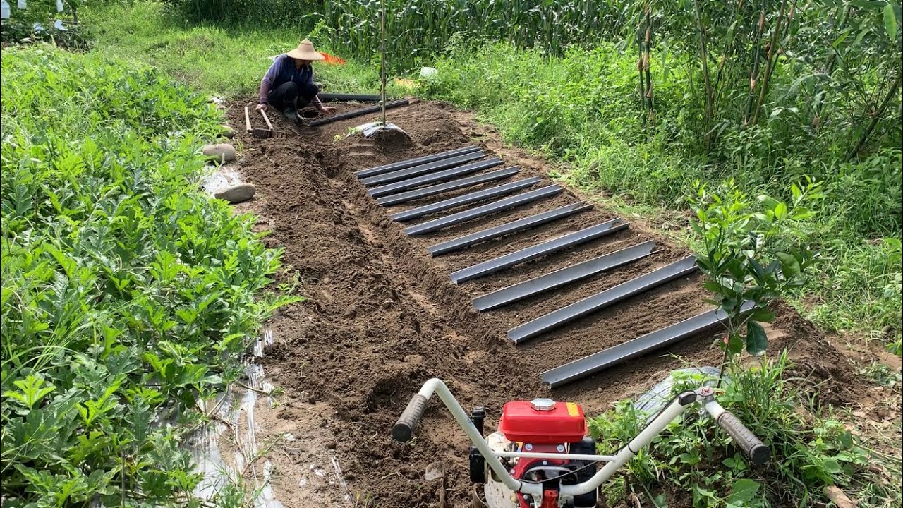 引導管山藥管栽培 | 以山藥習慣排管