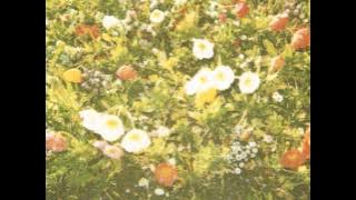 Wallflower - Cure Your Heart