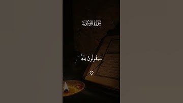 #سورة_المؤمنون #ياسر_الدوسري #لايك #اكسبلور #قرآن #راحة_نفسية
