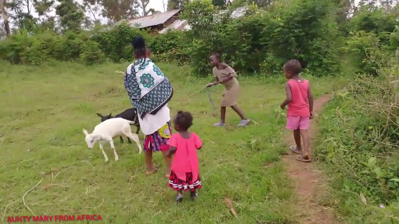 AS AN AFRICAN MUM I HAVE TO PROTECT MY PROPERTY @iammarwa 