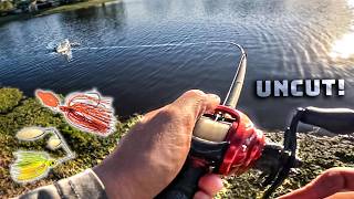 Spinnerbait Vs. Chatterbait For Pond Bass! (Uncut Fishing Tips)