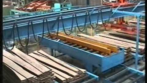 Joulin Gantry Robots: Outfeed of Band Saw Function