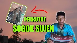 Katuranggan Perkutut Sogok Sujen