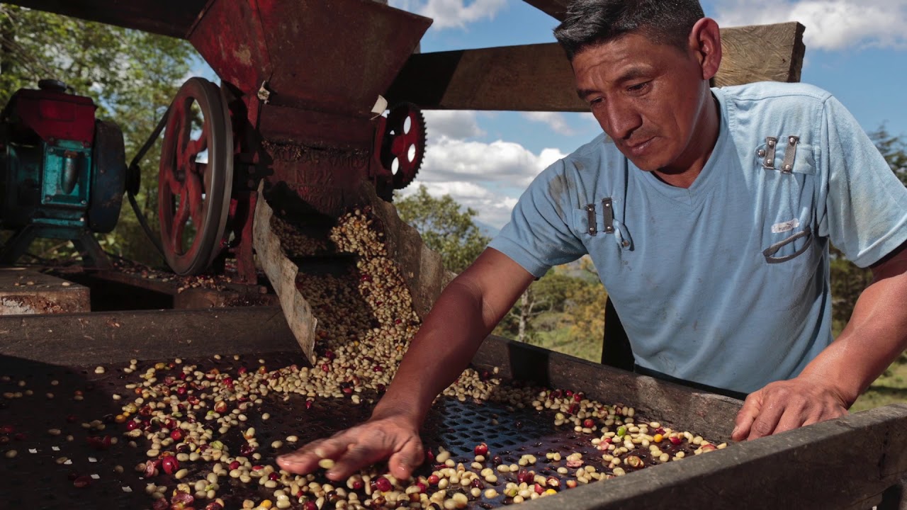 Blue Print for Water Security in Coffeelands