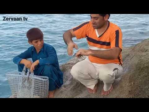 تصویری: ماهیگیری در آستاراخان: توصیه ماهیگیران باتجربه