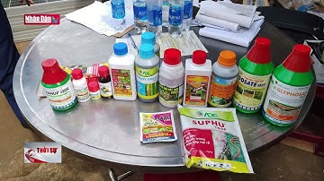 Tràn lan thuốc bảo vệ thực vật kém chất lượng