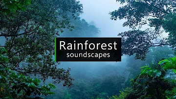 Rainforest sounds - Costa Rica jungle atmosphere