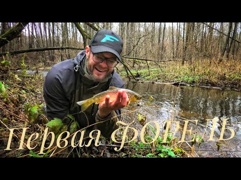 Первая ФОРЕЛЬ! Ловля
