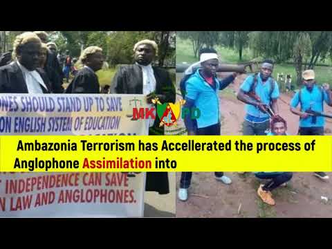 MKPD Assimilation Is It Good Or Bad 