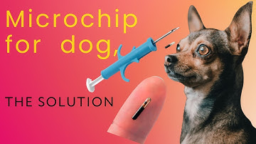 Microchipping Dogs and Cats: Benefits, Risks and What Nobody Tells You!