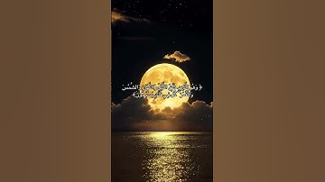 ابداع الشيخ ياسر الدوسري في تلاوة مميزة من القرآن الكريم #quran #قران_كريم #اكسبلور #قرآن #duet
