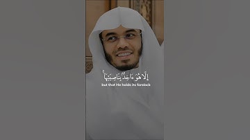 إني توكلت على الله ربي وربكم ما من دابة إلا هو آخذ | الآية 56 من سورة هود 🤍