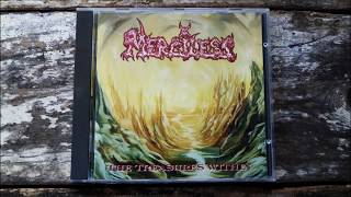 Merciless - Branded By Sunlight