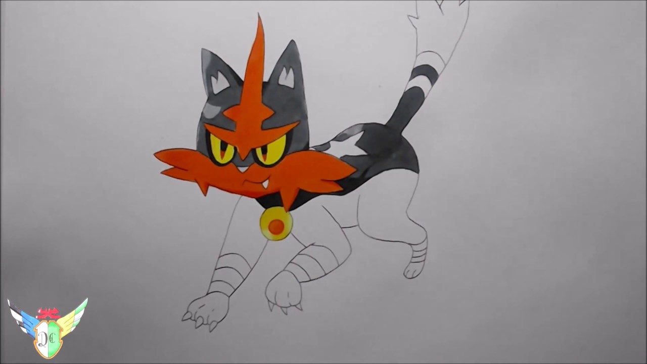 Speed draw Torracat   from Pokemon  Sun Moon YouTube