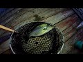 North Central Florida Fishing