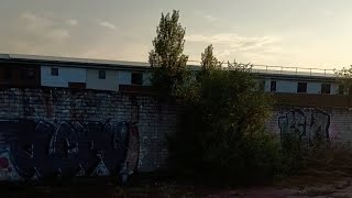 I went to the garden of the Pagefield Mill with Michael