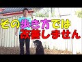 それじゃ直らない!99%の飼い主様が知らない引っ張り・吠えを改善するために大切な歩き方〖犬のしつけ幼稚園@神戸〗byかずま先生